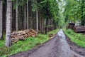 A hiking trail leading through a damaged gravel road through a forest Royalty Free Stock Photo