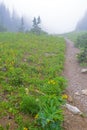 Hiking Trail leading into foggy valley in Glacier National Park.