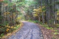 Hiking trail leading to the high falls waterfall in Grand Portage State Park Minnesota