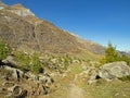 A hiking trail leads through the autumnal landscape in the Passeier Valley near Pfelders in the Texel Group Nature Park, South Royalty Free Stock Photo