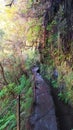 The hiking trail of the Levada Caleirao Verde on the Portuguese island of Madeira