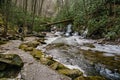 A Hiking Trail by Little Stony Creek Royalty Free Stock Photo