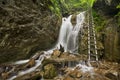 Hiking trail in a lush gorge in SlovenskÃÂ½ Raj, Slovakia