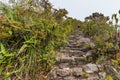 Hiking trail from Machu Picchu ruins to top of the mountain Royalty Free Stock Photo