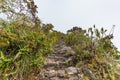 Hiking trail from Machu Picchu ruins to top of the mountain Royalty Free Stock Photo