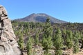 Hiking trail with many green pines and Pico Viejo Volcano Mountain near the big famous volcano Pico del Teide in Tenerife, Europe Royalty Free Stock Photo