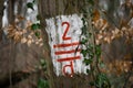 Hiking trail marker on a tree with tree bars painted in red