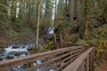 Hiking Trail at McDowell Creek Falls