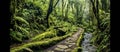 hiking trail meandering through lush rainforest, Generative AI