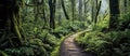 hiking trail meandering through lush rainforest, Generative AI