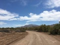 Hiking Trail In Mexico