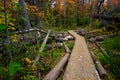 Hiking Trail Through Michigan Forest In Autumn Royalty Free Stock Photo