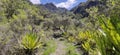 Hiking trail in the middle of Cilaos cirque, dry and rocky trail in the middle of the nature, La RÃÂ©union, France, Europe.
