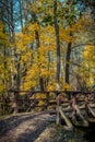 Hiking trail through mixted forest and a bridge across a small river.