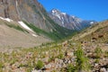 Hiking trail on Mount Edith Cavell Royalty Free Stock Photo