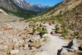 Hiking trail on Mount Edith Cavell