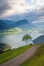 A hiking trail on a mountain, a bench and a tree stand at the edge Royalty Free Stock Photo