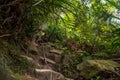 Hiking trail in a mountain forest, rainforest trees with climbing rope and stone strairs between rocks. Gunung Panti, Malaysia