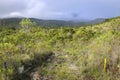 Hiking trail through the mountainous and green landscape of Caraca natural park, Minas Gerais, Brazil