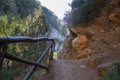 Hiking Trail in the Mountains. Amazing view of the Sunny Hiking Trail in the Rocky Mountains in Italy Royalty Free Stock Photo