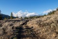 Hiking trail in the mountains in the Canadain Rockies Royalty Free Stock Photo