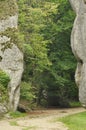 Hiking trail in the mountains. Path among the rocks in the beech forest. Tourism