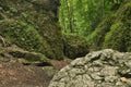 Hiking trail in the mountains. Path among the rocks in the beech forest. Tourism