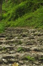 Hiking trail in the mountains. Path among the rocks in the beech forest. Tourism