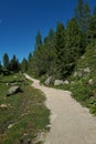 Hiking trail in the mountains Royalty Free Stock Photo