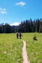 Hiking trail. Mt Rainer, Washington Royalty Free Stock Photo