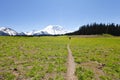 Hiking trail. Mt Rainer, Washington Royalty Free Stock Photo