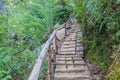 Hiking trail in National Park Huerquehue