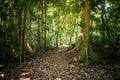 Hiking trail in National Park Podocarpus, Ecuador