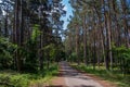 Hiking trail through the national park `Vorpommersche Boddenlandschaft`