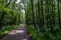 Hiking trail through the national park `Vorpommersche Boddenlandschaft`
