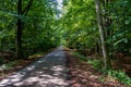 Hiking trail through the national park `Vorpommersche Boddenlandschaft`