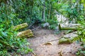 Hiking trail in natural tropical jungle forest Ilha Grande Brazil Royalty Free Stock Photo