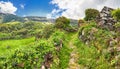 Hiking trail near Faja Grande Flores, Azores islands