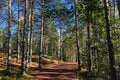 Hiking trail in Nuuksio National Park