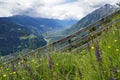 hiking trail over alpine valley of city Merano surrounded by Texel group mountains (Oetztaler Alps, South Tyrol, Italy)