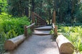 Hiking trail over a bridge to Marymere Falls waterfall in Olympic National Park Royalty Free Stock Photo