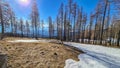 Hiking trail over snow covered alpine pasture with barren trees on the way to Ladinger Spitz, Saualpe, Lavanttal Alps Royalty Free Stock Photo