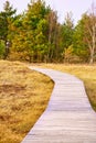 Hiking trail over a wooden footbridge to the high dune on the darss. National Park Royalty Free Stock Photo