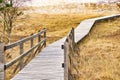 Hiking trail over a wooden footbridge to the high dune on the darss. National Park Royalty Free Stock Photo