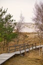 Hiking trail over a wooden footbridge to the high dune on the darss. National Park Royalty Free Stock Photo