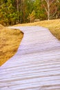 Hiking trail over a wooden footbridge to the high dune on the darss. National Park Royalty Free Stock Photo