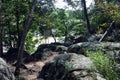 The Hiking Trail overlooking the River