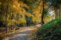 Hiking trail through park. Autumn landscape. Royalty Free Stock Photo