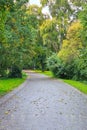 Hiking trail in the park for a walk. Green park in spring.