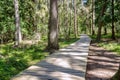 Hiking trail in the park. Wooden planking in the woods. An ecological trail in a nature reserve Royalty Free Stock Photo